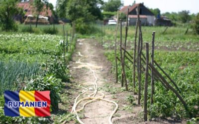 Växthus- och trädgårdsansvarig till socialt projekt i Rumänien